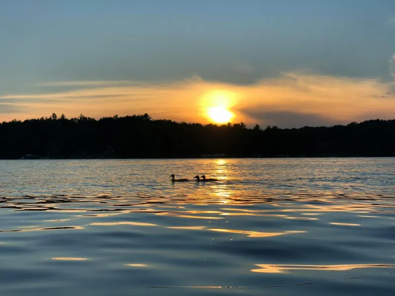 Minnesota Ranked Second Best State For Poverty Support, Trailing Only Massachusetts
