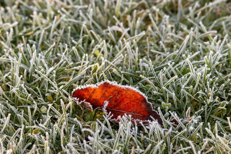 Here's When Minnesota's First Frost Is Expected in 2026