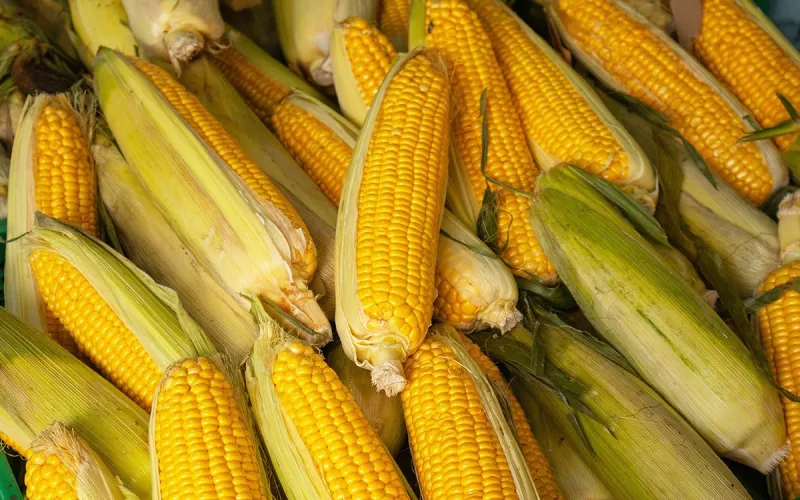 Harvest