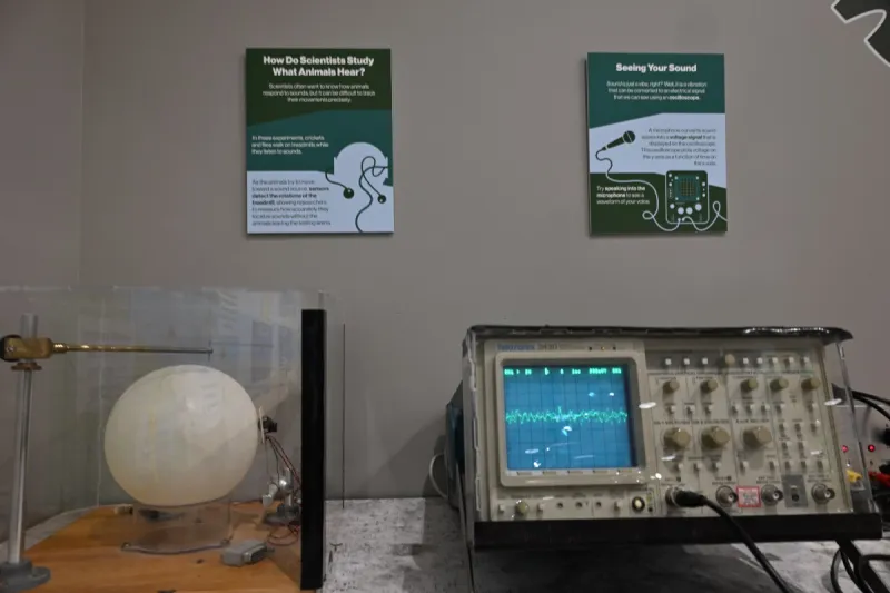 The 'fly' effect: Oles create an interactive exhibit on sound for young learners