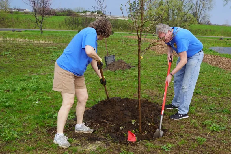 St. Cloud, Monticello Among 33 Cities Winning State Tree Grants