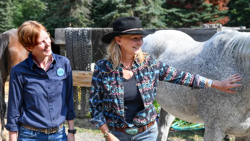 Stories, Science and the Healing Power of Horses