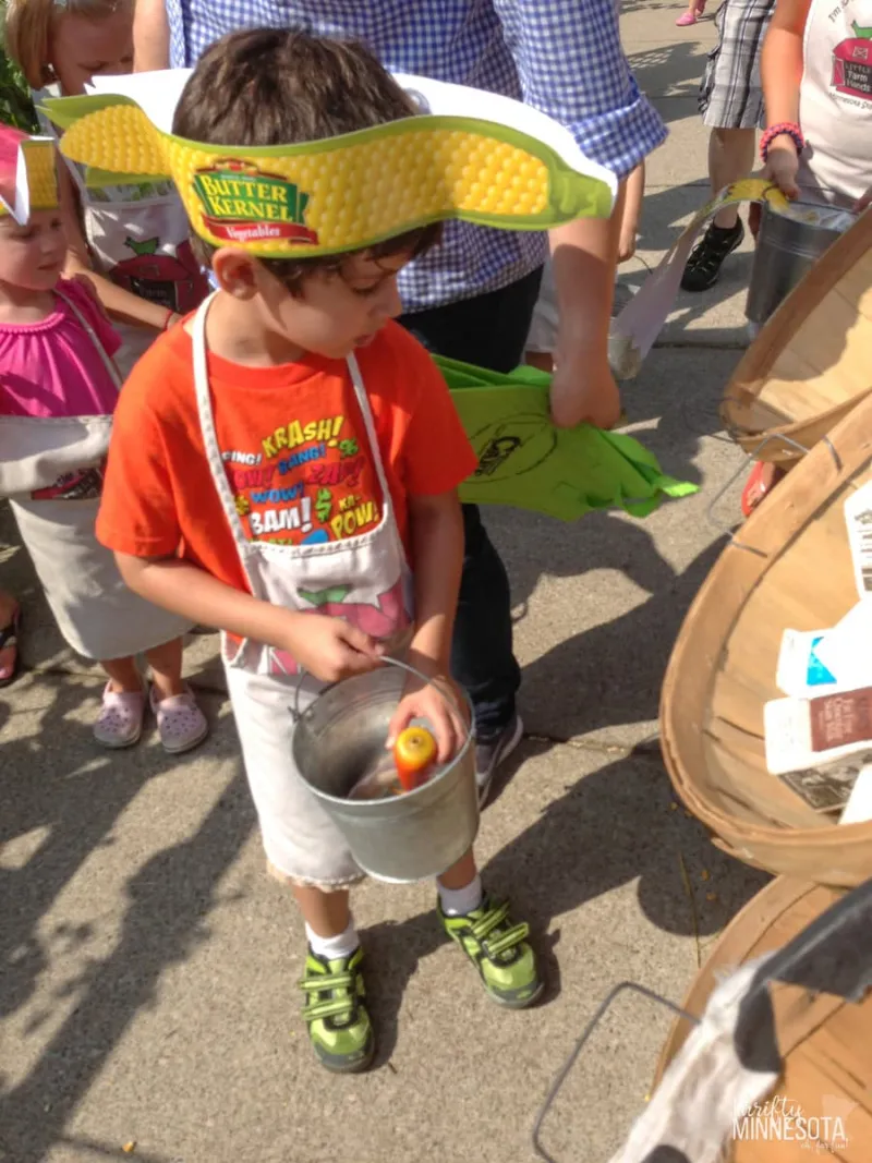 Top Minnesota State Fair Activities with Kids