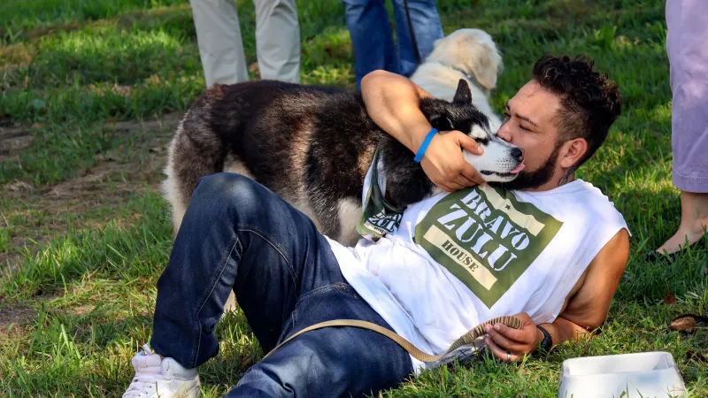 Southern MN sober home for veterans with PTSD adds dogs