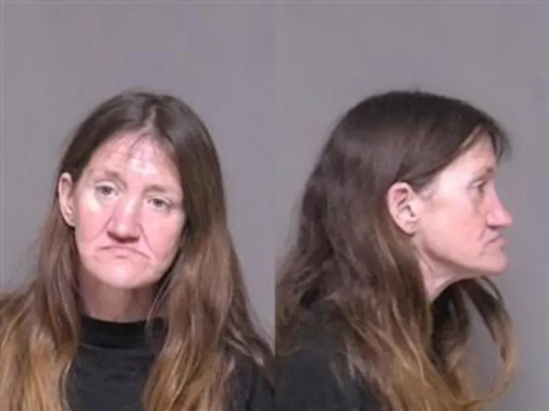 Rochester Woman Pleads Guilty to 2 Arson Fires