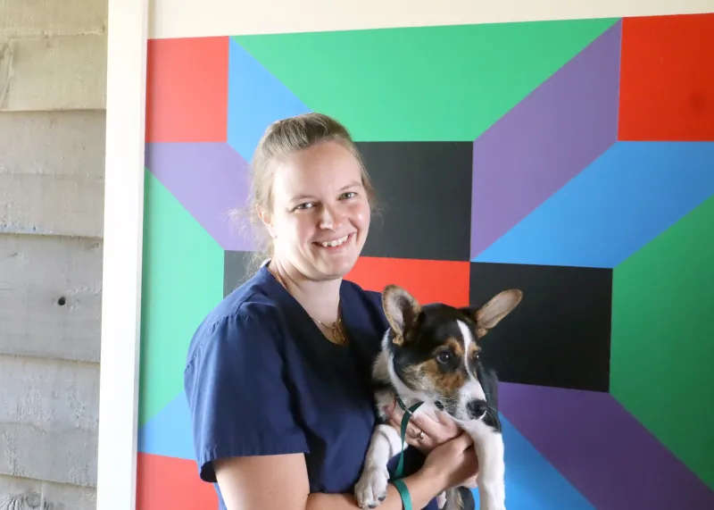 New small animal veterinarian joins Rock Veterinary Clinic