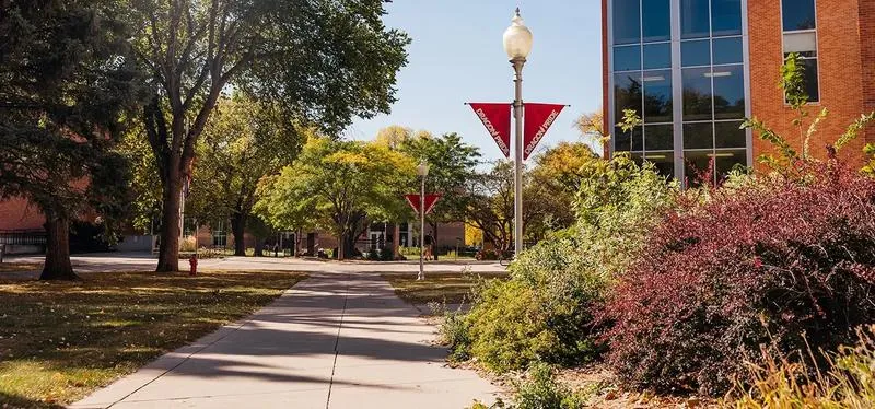 123 Dragons Earn D2 ADA Academic Achievement Awards