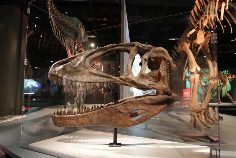 Dinosaurs, Pirate Ships, and Pickle Pie! Here's What's New at the MN State Fair