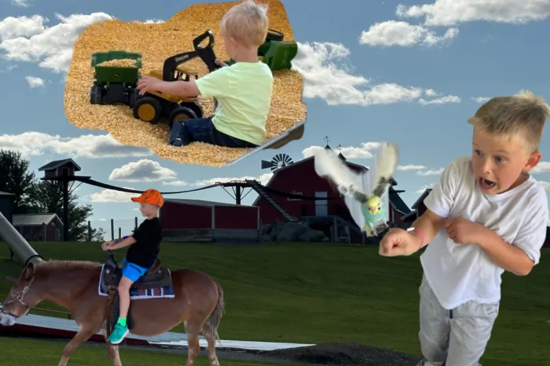 Family Fall Fun Awaits At Eden Valley's A Maze'n Farmyard Destination [GALLERY]