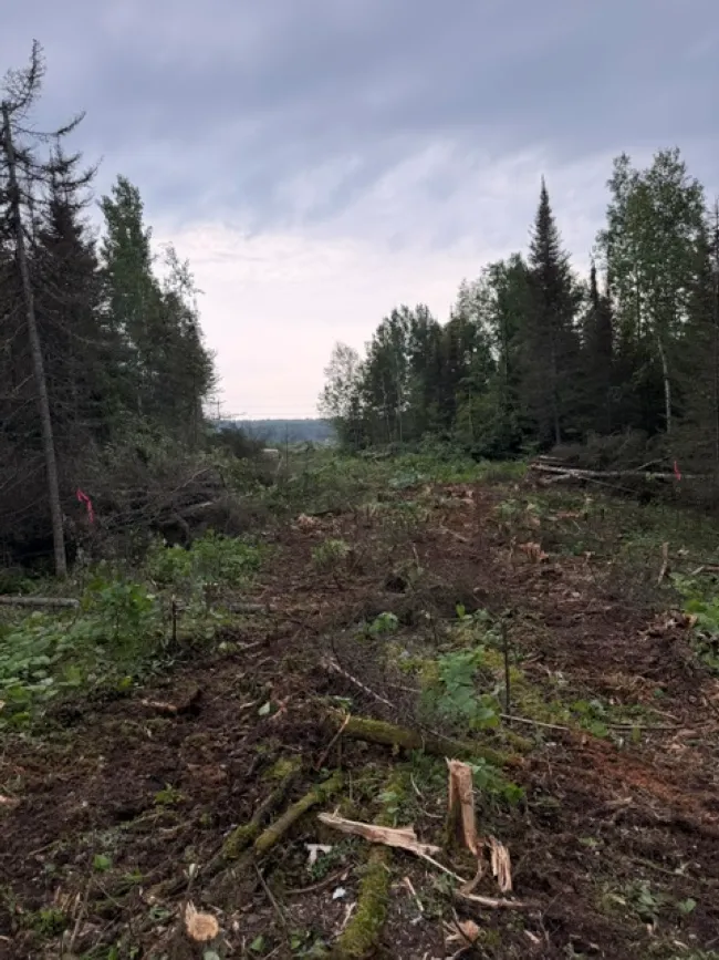 11-lot Little Creek Woods subdivision moves forward with final plat approval