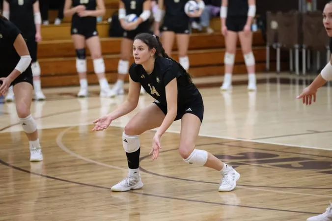 No. 14 Mustangs finish weekend with second sweep of Wheeling