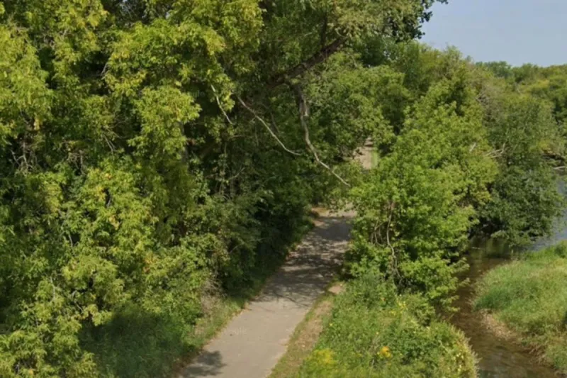 Falling Tree Kills 63-Year-Old Bicyclist Near Preston