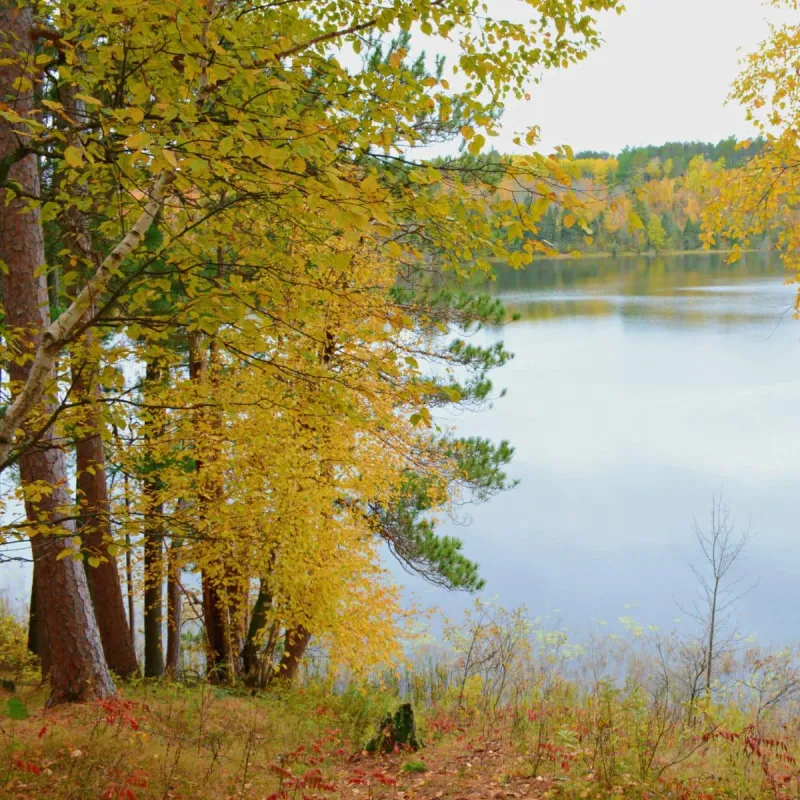 Fall Programs and Events in Minnesota State Parks and Trails + Fall Color Finder