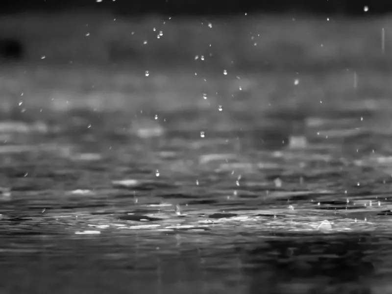 St. Cloud Gets Nearly An Inch And A Half Of Rain Overnight