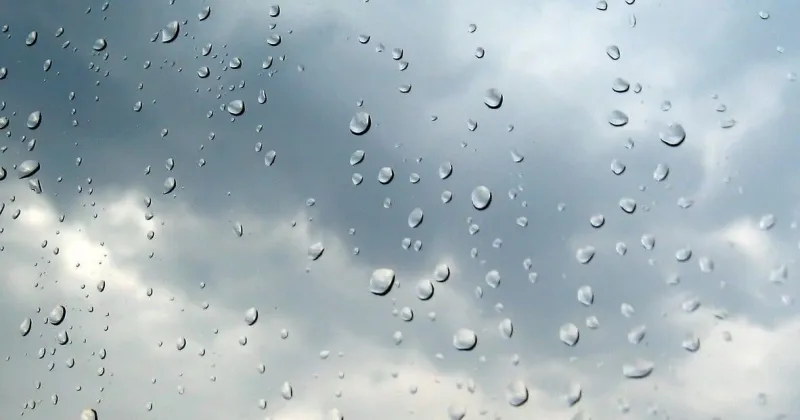 More rain fell in the area on Monday, rare to see back-to-back days this summer