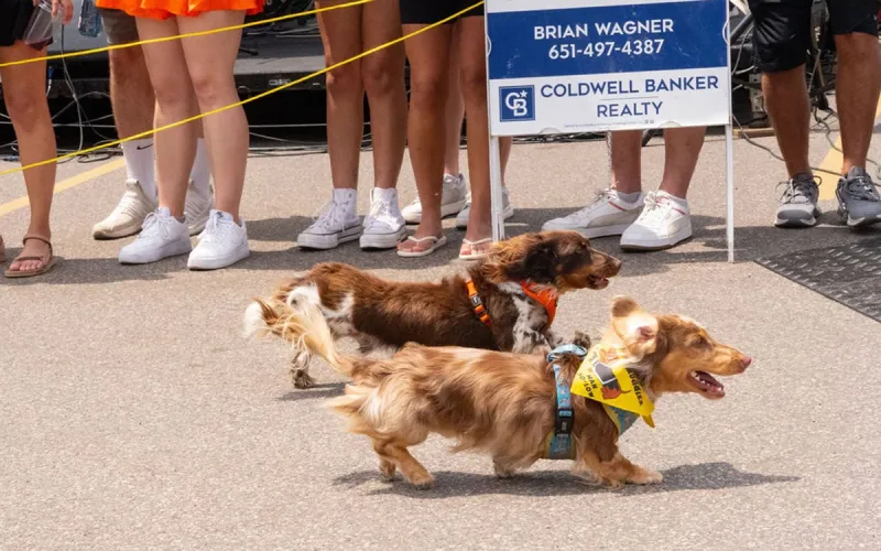 Paws on Grand Is St. Paul's Block Party for Pets