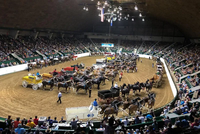 5 SE Minnesotans Who Won Big at the 2026 Minnesota State Fair