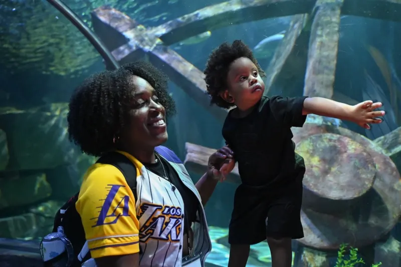 SEA LIFE Homeschool Days -- $10- $12 Admission!