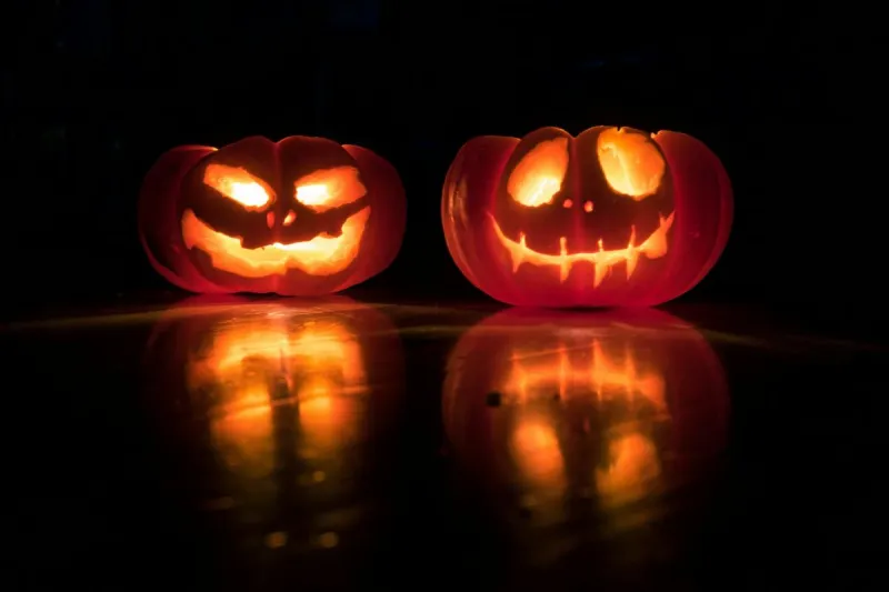 Jack-O-Lantern Spectacular Opens This Month at Minnesota Zoo