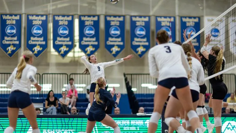 Golden Bears open NSIC play with four-set win over Mustangs