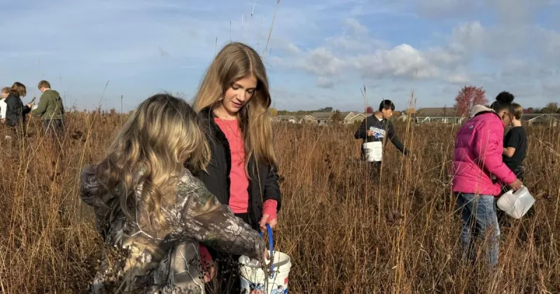 Restore prairies at New Amsterdam grasslands: Volunteer seed collection day