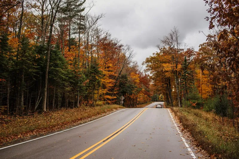 These Are Minnesota's Deadliest Roads to Drive This Fall