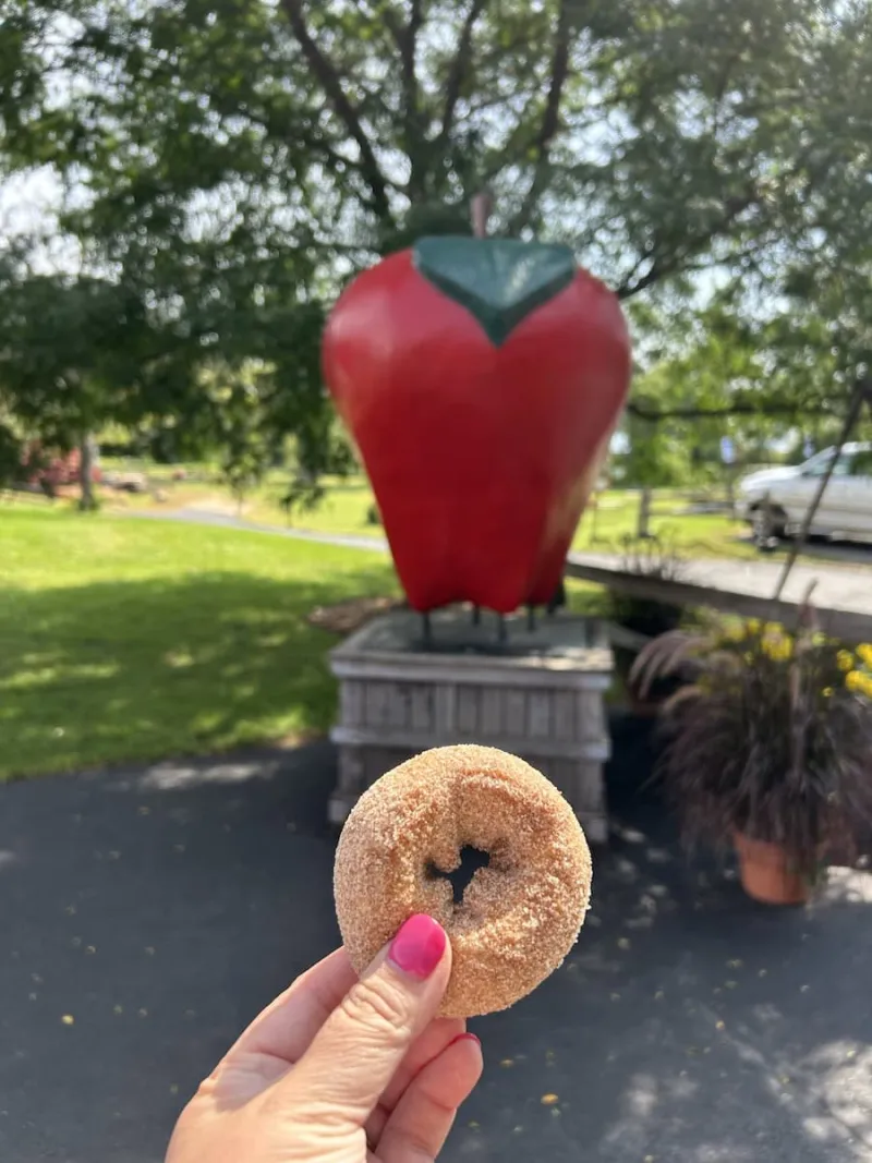 Our Favorite Apple Orchards in Minnesota