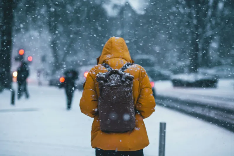 13 Ways Nature Predicts a Harsh Winter for Minnesotans