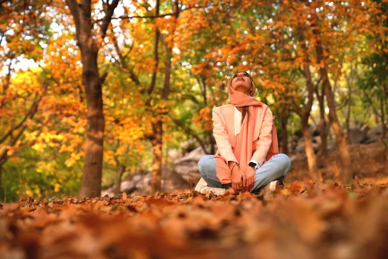 When Fall Colors Are Expected to be at Peak in SE Minnesota