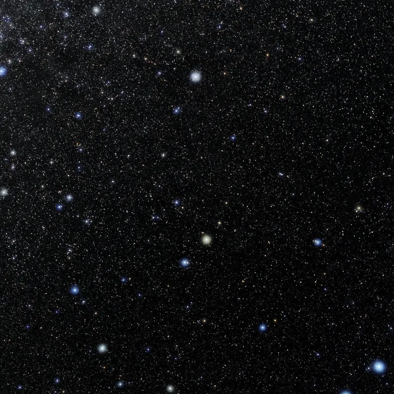 Statewide Star Party