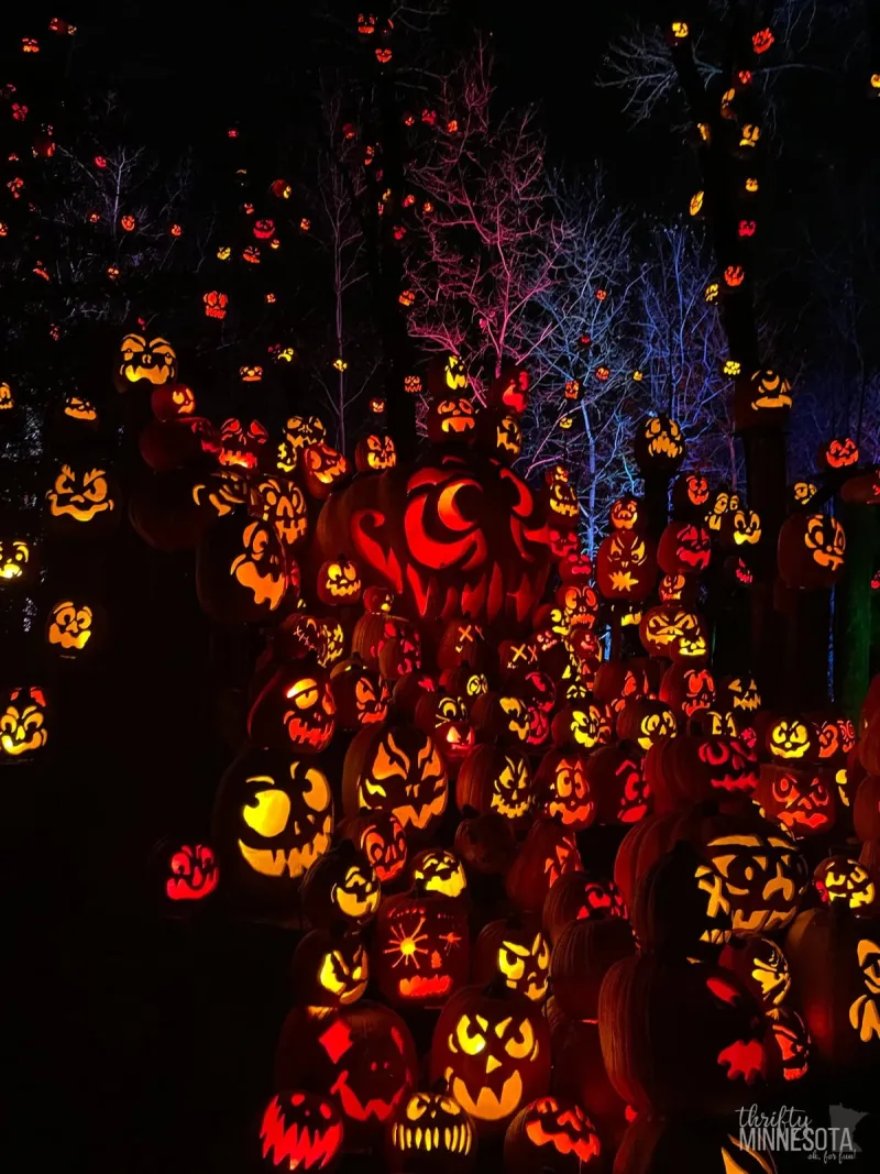 Minnesota Zoo Jack-O-Lantern Spectacular