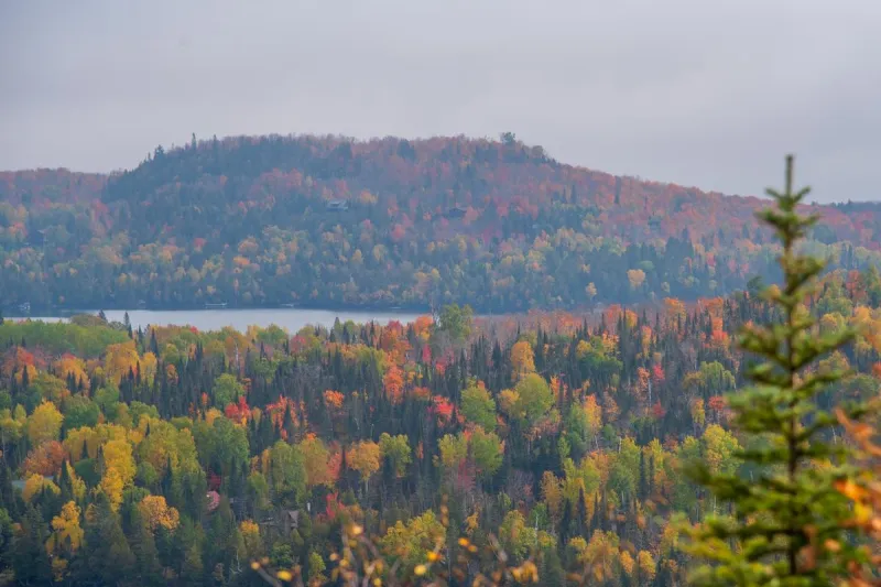 Are This Year's Minnesota Fall Colors Behind Schedule?