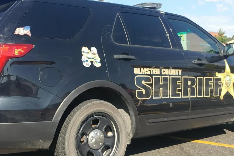Elgin Burglary Suspects Caught After Crashing into Tree