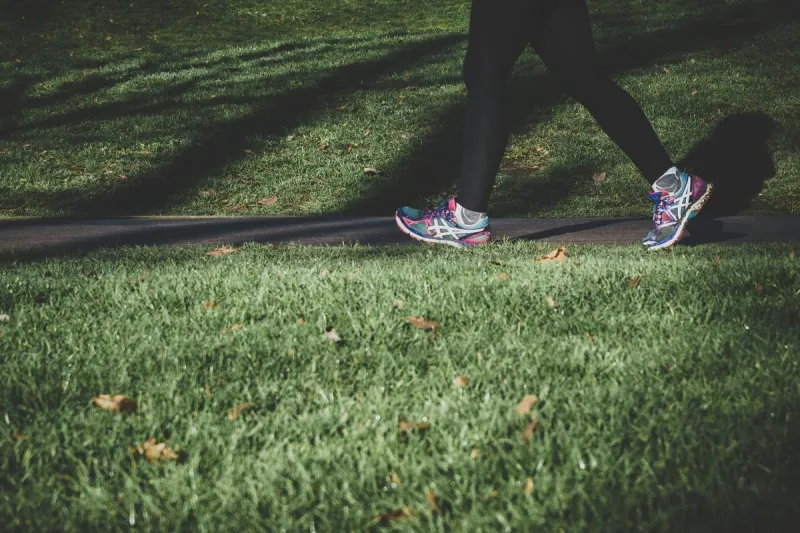Walk To End Alzheimer's Brings St. Cloud Together October 3rd