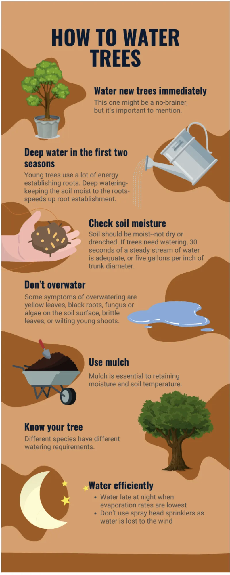 Have you planted a new tree or grove? It might be thirsty