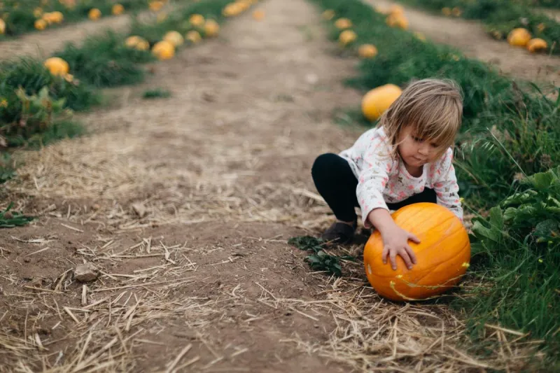 St. Cloud Calendar Packed With Family Fun This Weekender