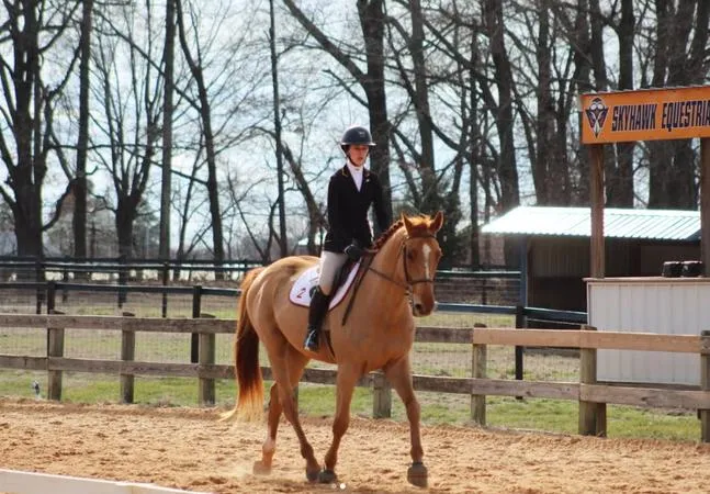 Minnesota Crookston Equestrian Opens Season in Delaware Against #2 Texas A&M and Delaware State