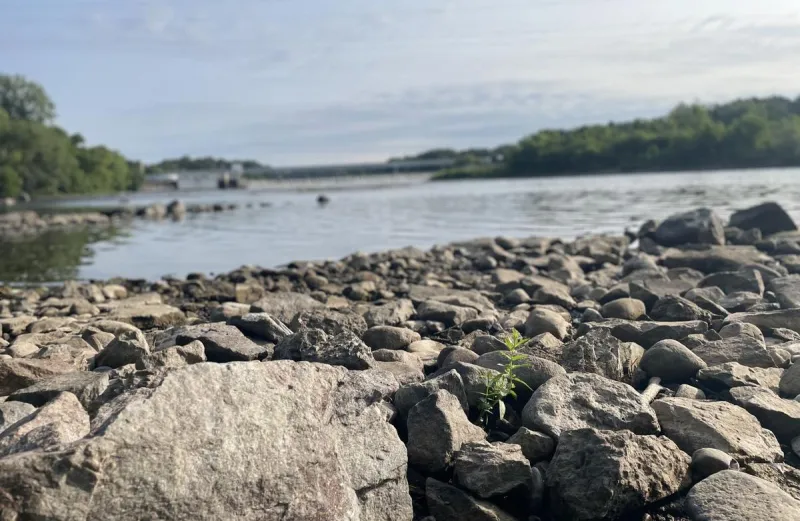 Minnesota Drought Easing Slowly, But Most Of State Remains Abnormally Dry