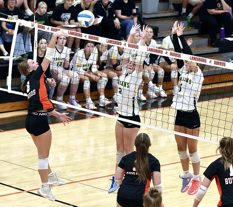 Volleyball: Burros Post 5-1 Week, Take Down R-P in Five Sets