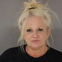 Woman from Sauk Centre is sentenced for selling drugs in Dalton