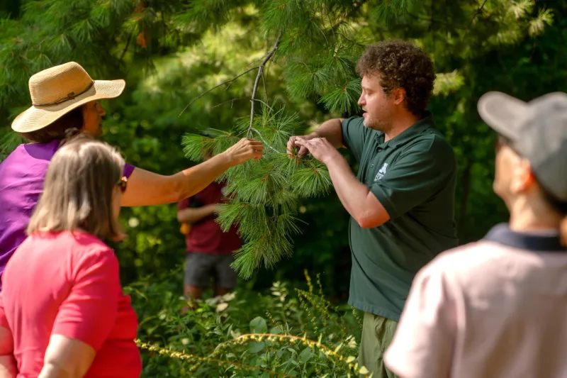 Celebrating the 'NeighborWoods'