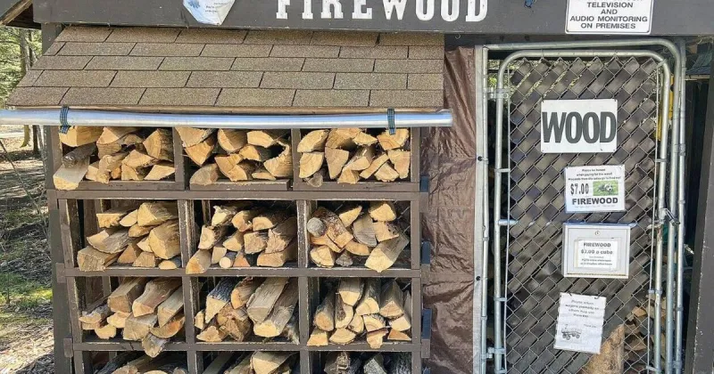 Wisconsin urges residents to buy, burn local firewood