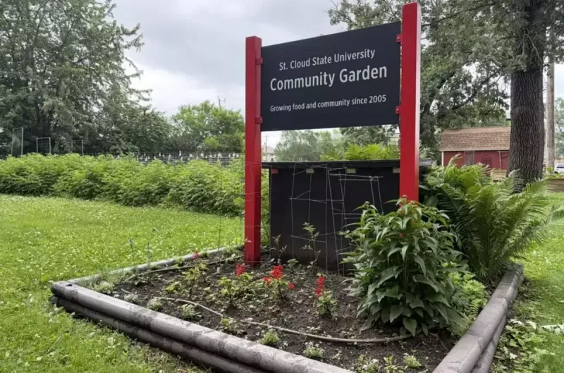 St. Cloud State Community Garden Celebrates Homecoming With Harvest Festival This Saturday