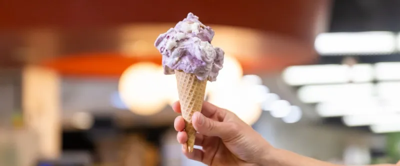 Get your North Star Apple Crisp ice cream while you can