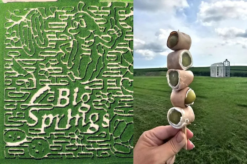 Snack on Minnesota Sushi On a Stick While Getting Lost in a Giant Pickle Corn Maze