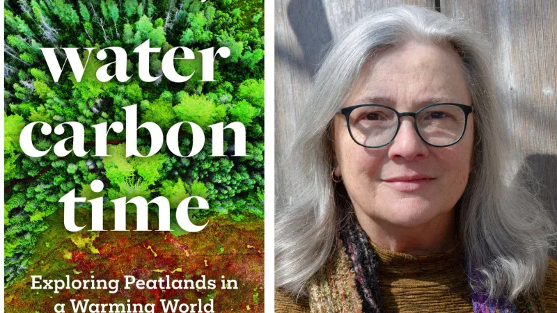 New book explores Minnesota's vast peatland ecosystem and climate change