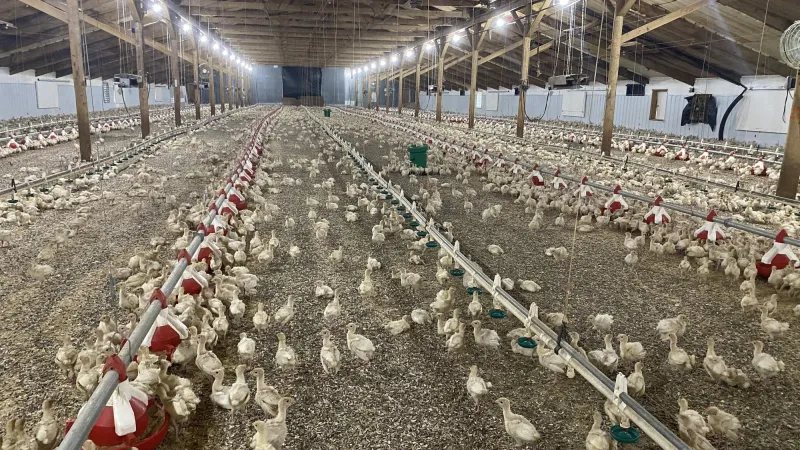 State agriculture commissioner looks to strengthen North American trade amid tensions