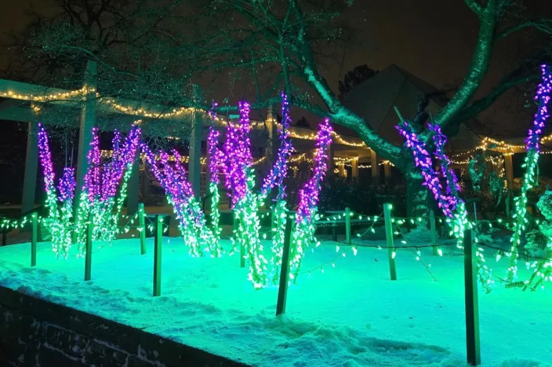 The Arboretum Is Trading Its Holiday Light Display
