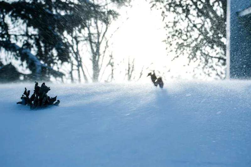 Minnesota Winter Prep: The 1-Minute Outdoor Chore You Can't Ignore
