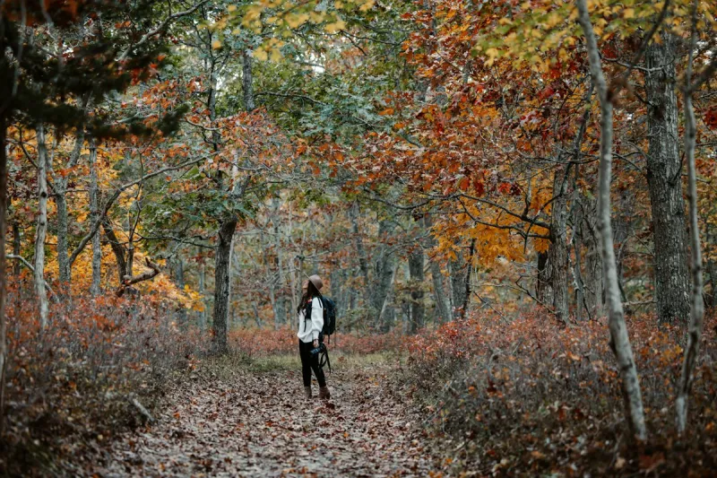 The Best Fall Color Spots in SE Minnesota Are Worth the Drive